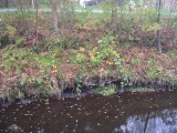 Der neue Kanal